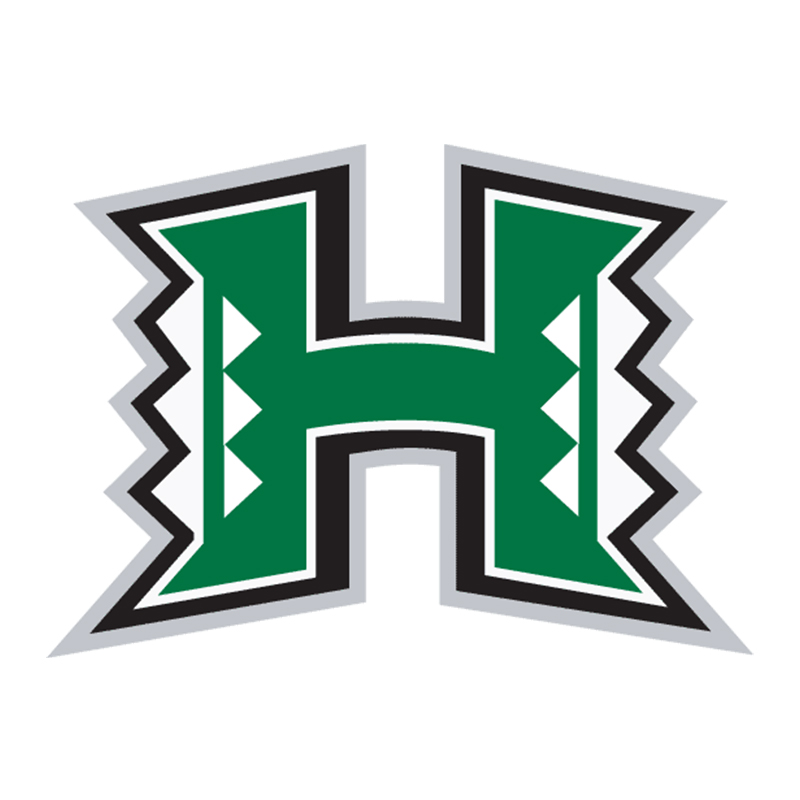 Hawaii Warriors iron ons